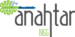 Bigg Logo