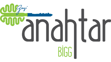 Bigg Logo